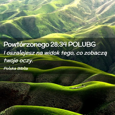 Picture 02 - Powtórzonego 28:34 POLUBG - I oszalejesz na widok tego, co zobaczą twoje - Bible Verse Picture