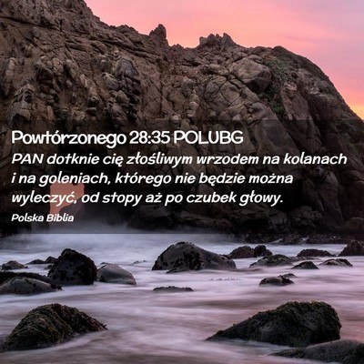Picture 02 - Powtórzonego 28:35 POLUBG - PAN dotknie cię złośliwym wrzodem na kolanach - Bible Verse Picture