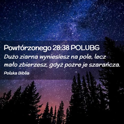 Picture 02 - Powtórzonego 28:38 POLUBG - Dużo ziarna wyniesiesz na pole, lecz mało - Bible Verse Picture