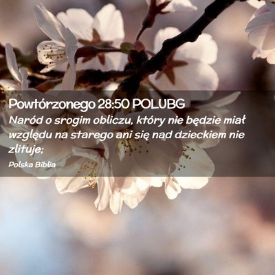 Picture 02 - Powtórzonego 28:50 POLUBG - Naród o srogim obliczu, który nie będzie miał - Bible Verse Picture
