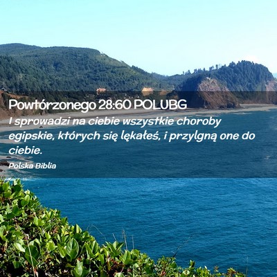 Picture 02 - Powtórzonego 28:60 POLUBG - I sprowadzi na ciebie wszystkie choroby egipskie, - Bible Verse Picture