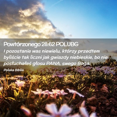 Picture 02 - Powtórzonego 28:62 POLUBG - I pozostanie was niewielu, którzy przedtem - Bible Verse Picture