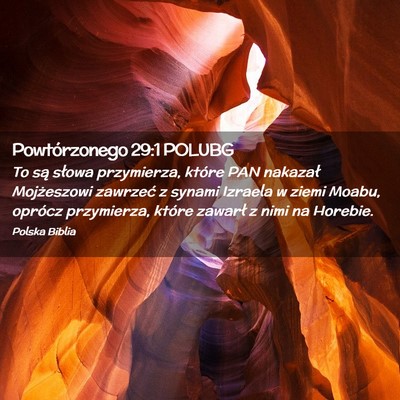 Picture 02 - Powtórzonego 29:1 POLUBG - To są słowa przymierza, które PAN nakazał - Bible Verse Picture