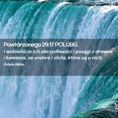 Picture 02 - Powtórzonego 29:17 POLUBG - I widzieliście ich obrzydliwości i posągi z - Bible Verse Picture