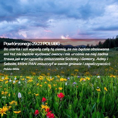 Picture 02 - Powtórzonego 29:23 POLUBG - Bo siarka i sól wypalą całą tę ziemię, że - Bible Verse Picture