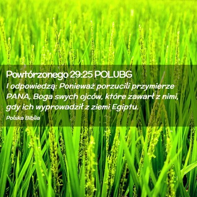 Picture 02 - Powtórzonego 29:25 POLUBG - I odpowiedzą: Ponieważ porzucili przymierze - Bible Verse Picture