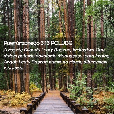 Picture 02 - Powtórzonego 3:13 POLUBG - A resztę Gileadu i cały Baszan, królestwa Oga, - Bible Verse Picture
