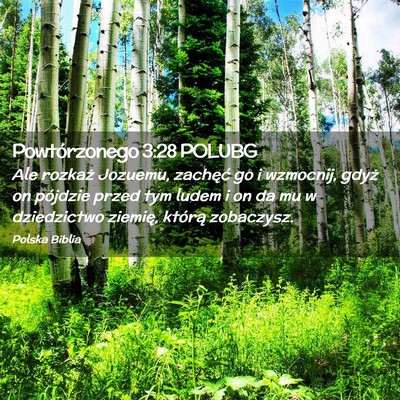 Picture 02 - Powtórzonego 3:28 POLUBG - Ale rozkaż Jozuemu, zachęć go i wzmocnij, - Bible Verse Picture