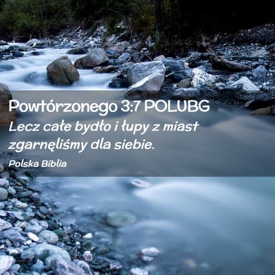 Picture 02 - Powtórzonego 3:7 POLUBG - Lecz całe bydło i łupy z miast zgarnęliśmy - Bible Verse Picture