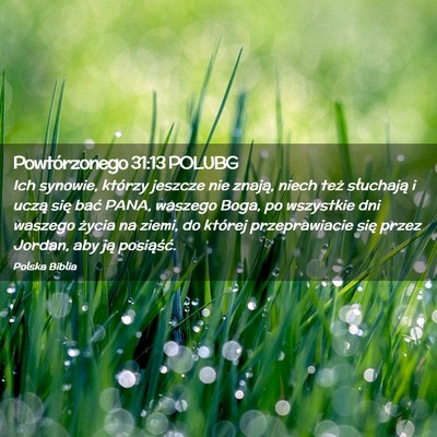 Picture 02 - Powtórzonego 31:13 POLUBG - Ich synowie, którzy jeszcze nie znają, niech - Bible Verse Picture