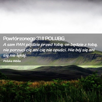 Picture 02 - Powtórzonego 31:8 POLUBG - A sam PAN pójdzie przed tobą, on będzie z - Bible Verse Picture