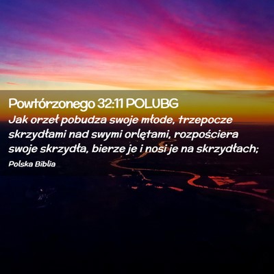 Picture 02 - Powtórzonego 32:11 POLUBG - Jak orzeł pobudza swoje młode, trzepocze - Bible Verse Picture