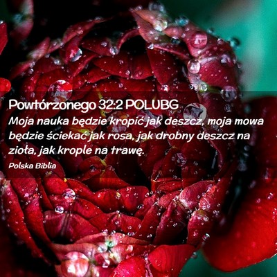 Picture 02 - Powtórzonego 32:2 POLUBG - Moja nauka będzie kropić jak deszcz, moja mowa - Bible Verse Picture