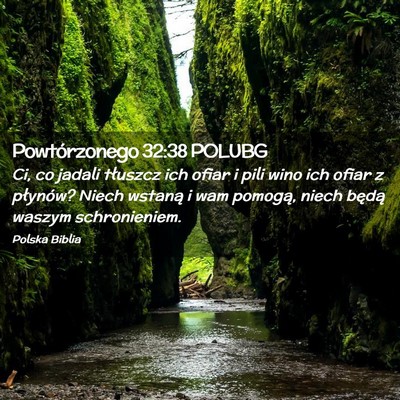 Picture 02 - Powtórzonego 32:38 POLUBG - Ci, co jadali tłuszcz ich ofiar i pili wino ich - Bible Verse Picture