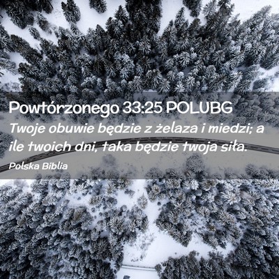 Picture 02 - Powtórzonego 33:25 POLUBG - Twoje obuwie będzie z żelaza i miedzi; a ile - Bible Verse Picture