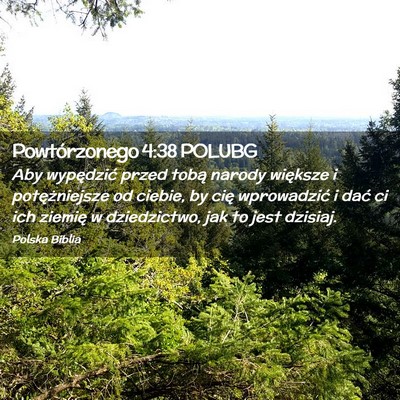 Picture 02 - Powtórzonego 4:38 POLUBG - Aby wypędzić przed tobą narody większe i - Bible Verse Picture