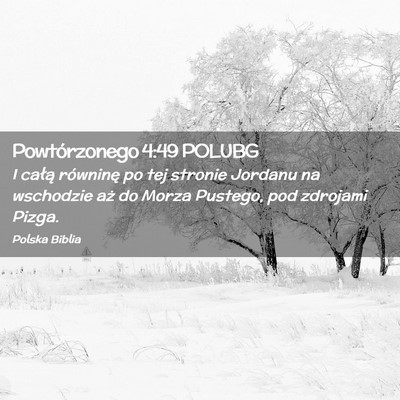 Picture 02 - Powtórzonego 4:49 POLUBG - I całą równinę po tej stronie Jordanu na - Bible Verse Picture