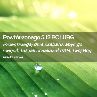 Picture 02 - Powtórzonego 5:12 POLUBG - Przestrzegaj dnia szabatu, abyś go święcił, - Bible Verse Picture
