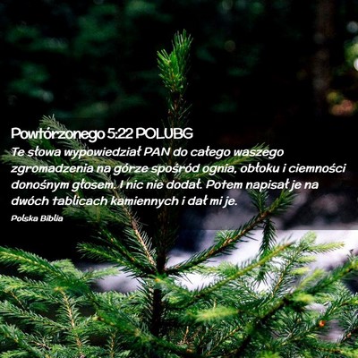 Picture 02 - Powtórzonego 5:22 POLUBG - Te słowa wypowiedział PAN do całego waszego - Bible Verse Picture