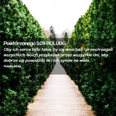 Picture 02 - Powtórzonego 5:29 POLUBG - Oby ich serce było takie, by się mnie bali i - Bible Verse Picture