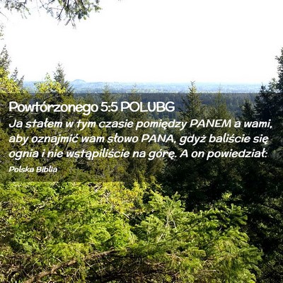 Picture 02 - Powtórzonego 5:5 POLUBG - Ja stałem w tym czasie pomiędzy PANEM a wami, - Bible Verse Picture
