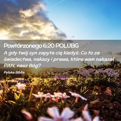 Picture 02 - Powtórzonego 6:20 POLUBG - A gdy twój syn zapyta cię kiedyś: Co to za - Bible Verse Picture