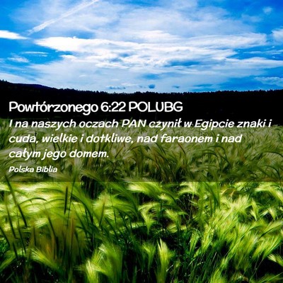 Picture 02 - Powtórzonego 6:22 POLUBG - I na naszych oczach PAN czynił w Egipcie znaki i - Bible Verse Picture
