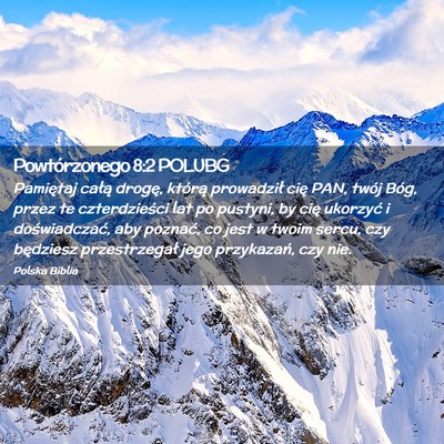 Picture 02 - Powtórzonego 8:2 POLUBG - Pamiętaj całą drogę, którą prowadził cię - Bible Verse Picture