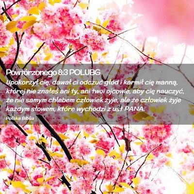 Picture 02 - Powtórzonego 8:3 POLUBG - Upokorzył cię, dawał ci odczuć głód i - Bible Verse Picture