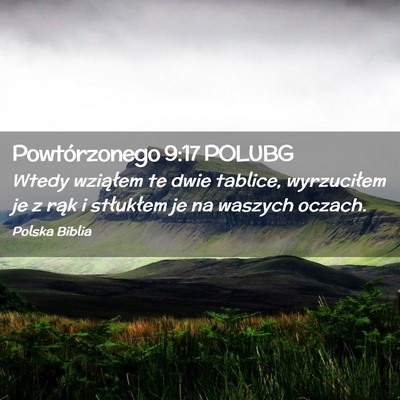 Picture 02 - Powtórzonego 9:17 POLUBG - Wtedy wziąłem te dwie tablice, wyrzuciłem je z - Bible Verse Picture