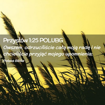 Picture 02 - Przysłów 1:25 POLUBG - Owszem, odrzuciliście całą moją radę i nie - Bible Verse Picture
