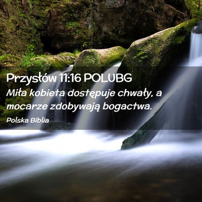 Picture 02 - Przysłów 11:16 POLUBG - Miła kobieta dostępuje chwały, a mocarze - Bible Verse Picture