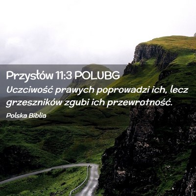 Picture 02 - Przysłów 11:3 POLUBG - Uczciwość prawych poprowadzi ich, lecz - Bible Verse Picture