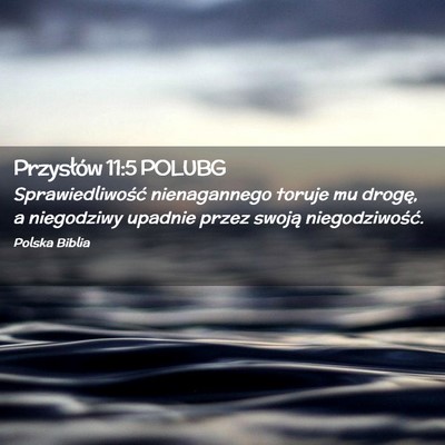 Picture 02 - Przysłów 11:5 POLUBG - Sprawiedliwość nienagannego toruje mu drogę, a - Bible Verse Picture