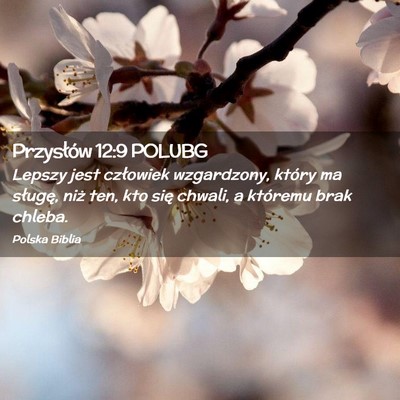 Picture 02 - Przysłów 12:9 POLUBG - Lepszy jest człowiek wzgardzony, który ma - Bible Verse Picture