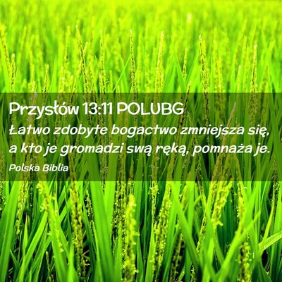 Picture 02 - Przysłów 13:11 POLUBG - Łatwo zdobyte bogactwo zmniejsza się, a kto je - Bible Verse Picture