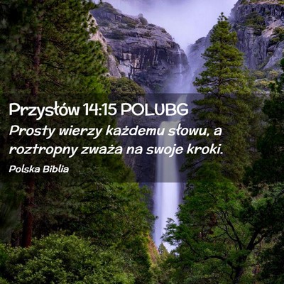 Picture 02 - Przysłów 14:15 POLUBG - Prosty wierzy każdemu słowu, a roztropny zważa - Bible Verse Picture