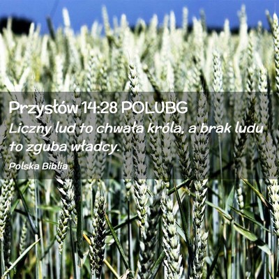 Picture 02 - Przysłów 14:28 POLUBG - Liczny lud to chwała króla, a brak ludu to - Bible Verse Picture