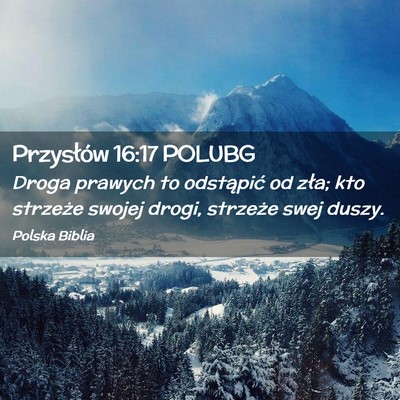 Picture 02 - Przysłów 16:17 POLUBG - Droga prawych to odstąpić od zła; kto strzeże - Bible Verse Picture