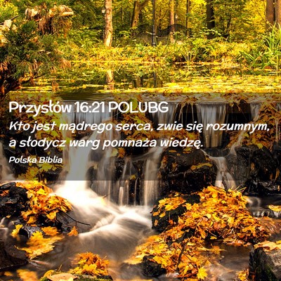 Picture 02 - Przysłów 16:21 POLUBG - Kto jest mądrego serca, zwie się rozumnym, a - Bible Verse Picture