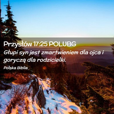 Picture 02 - Przysłów 17:25 POLUBG - Głupi syn jest zmartwieniem dla ojca i goryczą - Bible Verse Picture