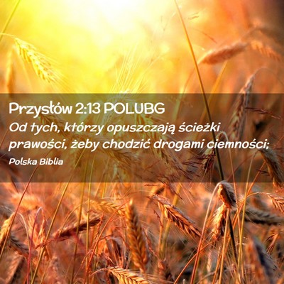 Picture 02 - Przysłów 2:13 POLUBG - Od tych, którzy opuszczają ścieżki prawości, - Bible Verse Picture