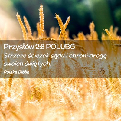 Picture 02 - Przysłów 2:8 POLUBG - Strzeże ścieżek sądu i chroni drogę swoich - Bible Verse Picture