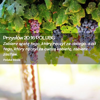 Picture 02 - Przysłów 20:16 POLUBG - Zabierz szatę tego, który ręczył za obcego, a - Bible Verse Picture