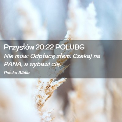 Picture 02 - Przysłów 20:22 POLUBG - Nie mów: Odpłacę złem. Czekaj na PANA, a - Bible Verse Picture