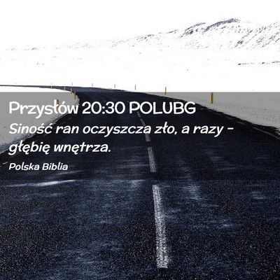 Picture 02 - Przysłów 20:30 POLUBG - Siność ran oczyszcza zło, a razy – głębię - Bible Verse Picture