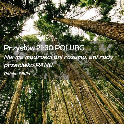 Picture 02 - Przysłów 21:30 POLUBG - Nie ma mądrości ani rozumu, ani rady przeciwko - Bible Verse Picture