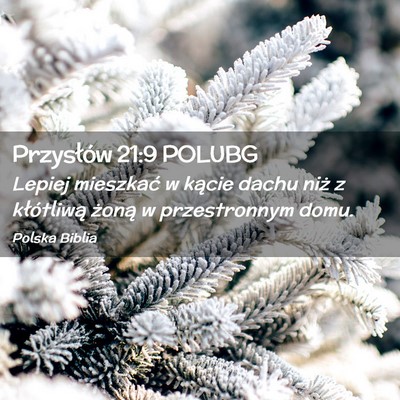 Picture 02 - Przysłów 21:9 POLUBG - Lepiej mieszkać w kącie dachu niż z - Bible Verse Picture