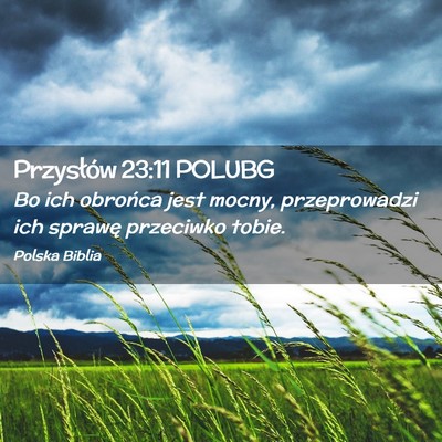Picture 02 - Przysłów 23:11 POLUBG - Bo ich obrońca jest mocny, przeprowadzi ich - Bible Verse Picture