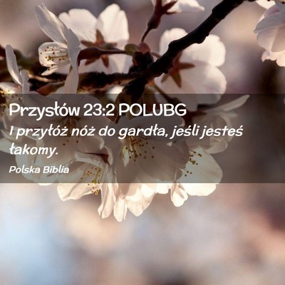 Picture 02 - Przysłów 23:2 POLUBG - I przyłóż nóż do gardła, jeśli jesteś - Bible Verse Picture